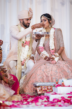 Indian Wedding, Westin Hotel, Anaheim, Orange County Wedding Photographer (260 of 609)