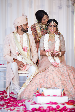 Indian Wedding, Westin Hotel, Anaheim, Orange County Wedding Photographer (266 of 609)