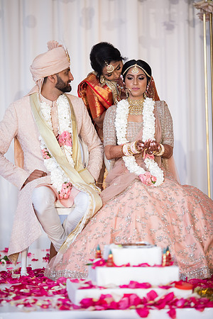 Indian Wedding, Westin Hotel, Anaheim, Orange County Wedding Photographer (271 of 609)