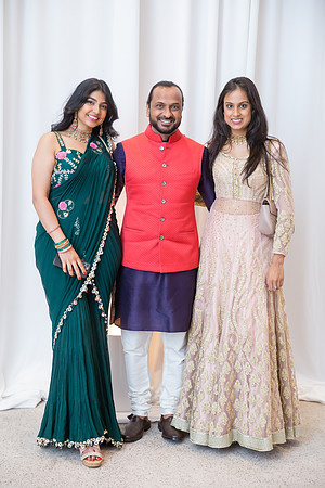 Indian Wedding, Westin Hotel, Anaheim, Orange County Wedding Photographer (344 of 609)