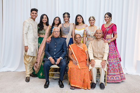 Indian Wedding, Westin Hotel, Anaheim, Orange County Wedding Photographer (361 of 609)