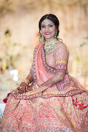 Indian Wedding, Westin Hotel, Anaheim, Orange County Wedding Photographer (365 of 609)