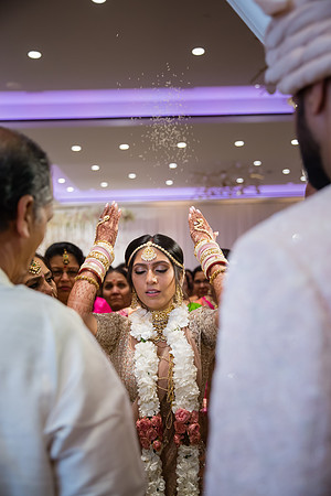 Indian Wedding, Westin Hotel, Anaheim, Orange County Wedding Photographer (396 of 609)