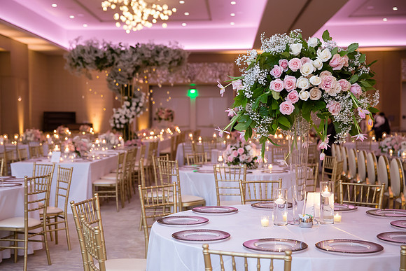 Indian Wedding, Westin Hotel, Anaheim, Orange County Wedding Photographer (429 of 609)