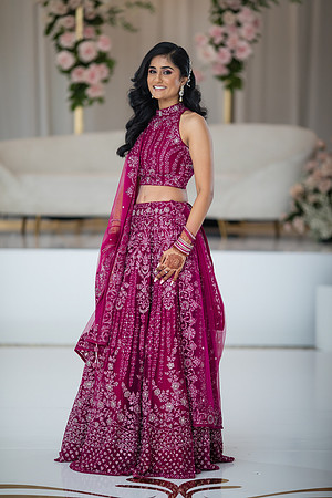 Indian Wedding, Westin Hotel, Anaheim, Orange County Wedding Photographer (439 of 609)