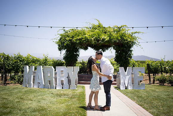 nina les orange county wedding photographer lorimar temecula winery surprise proposal-65