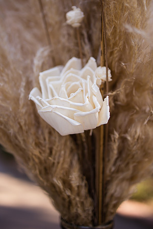 Orange County, Temecula Wedding Photographer at Longshadow Ranch Winery, Jessica & Dennis-12