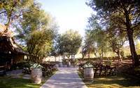 Orange County, Temecula Wedding Photographer at Longshadow Ranch Winery, Jessica & Dennis-16