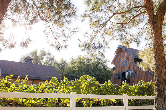 Orange County, Temecula Wedding Photographer at Longshadow Ranch Winery, Jessica & Dennis-29