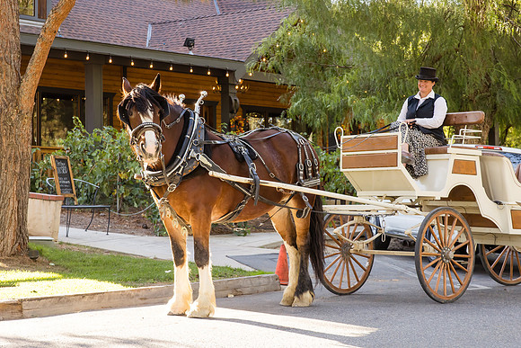 Orange County, Temecula Wedding Photographer at Longshadow Ranch Winery, Jessica & Dennis-31
