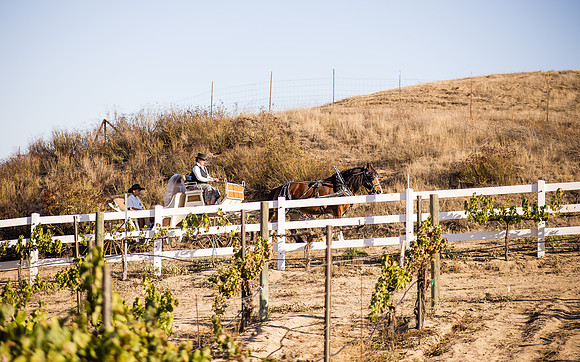 Orange County, Temecula Wedding Photographer at Longshadow Ranch Winery, Jessica & Dennis-40