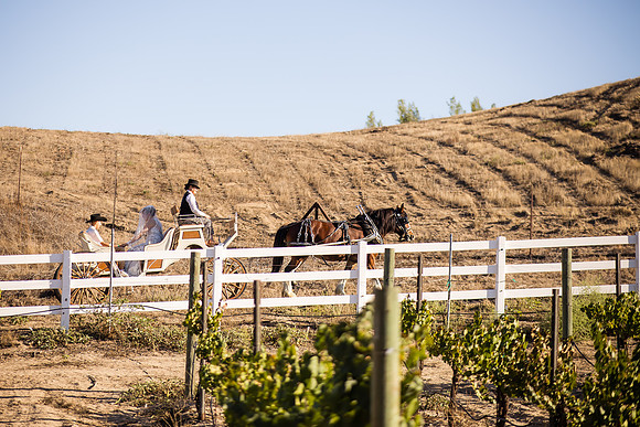 Orange County, Temecula Wedding Photographer at Longshadow Ranch Winery, Jessica & Dennis-42