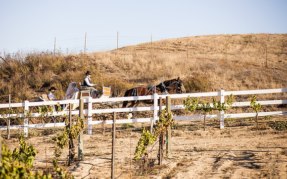 Orange County, Temecula Wedding Photographer at Longshadow Ranch Winery, Jessica & Dennis-41