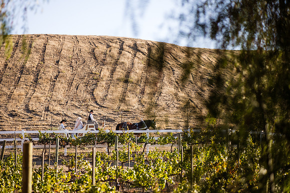 Orange County, Temecula Wedding Photographer at Longshadow Ranch Winery, Jessica & Dennis-44