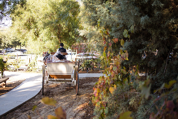 Orange County, Temecula Wedding Photographer at Longshadow Ranch Winery, Jessica & Dennis-50