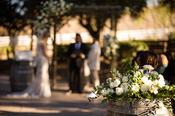 Orange County, Temecula Wedding Photographer at Longshadow Ranch Winery, Jessica & Dennis-91