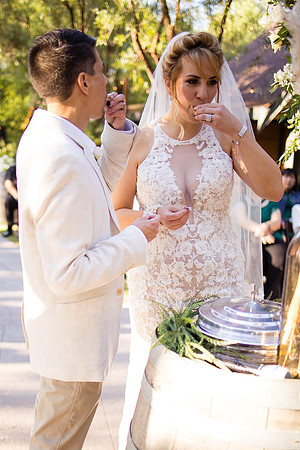 Orange County, Temecula Wedding Photographer at Longshadow Ranch Winery, Jessica & Dennis-133