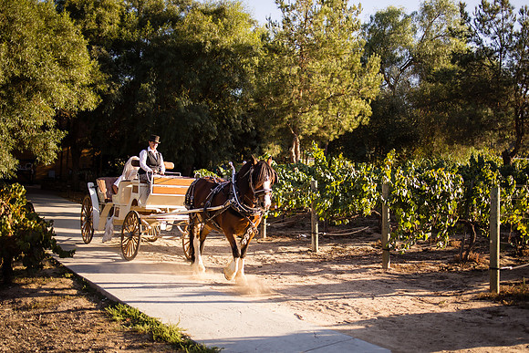 Orange County, Temecula Wedding Photographer at Longshadow Ranch Winery, Jessica & Dennis-166