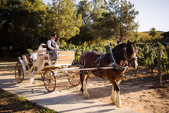 Orange County, Temecula Wedding Photographer at Longshadow Ranch Winery, Jessica & Dennis-169
