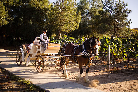 Orange County, Temecula Wedding Photographer at Longshadow Ranch Winery, Jessica & Dennis-168