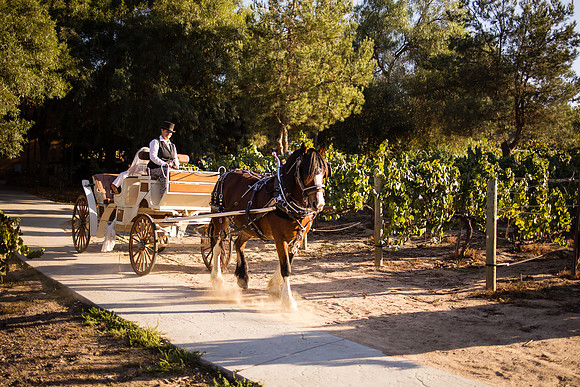 Orange County, Temecula Wedding Photographer at Longshadow Ranch Winery, Jessica & Dennis-167