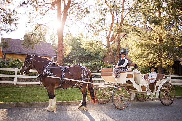Orange County, Temecula Wedding Photographer at Longshadow Ranch Winery, Jessica & Dennis-177