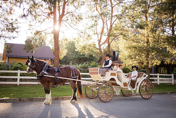 Orange County, Temecula Wedding Photographer at Longshadow Ranch Winery, Jessica & Dennis-178