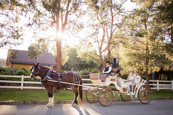 Orange County, Temecula Wedding Photographer at Longshadow Ranch Winery, Jessica & Dennis-179
