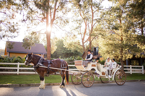 Orange County, Temecula Wedding Photographer at Longshadow Ranch Winery, Jessica & Dennis-180