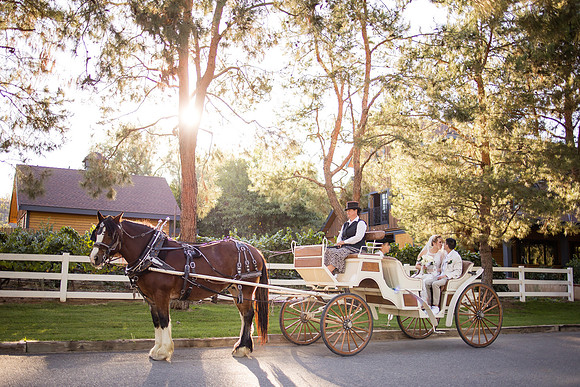 Orange County, Temecula Wedding Photographer at Longshadow Ranch Winery, Jessica & Dennis-181