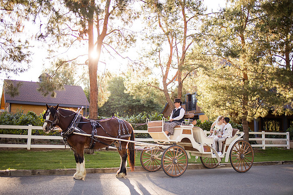 Orange County, Temecula Wedding Photographer at Longshadow Ranch Winery, Jessica & Dennis-182