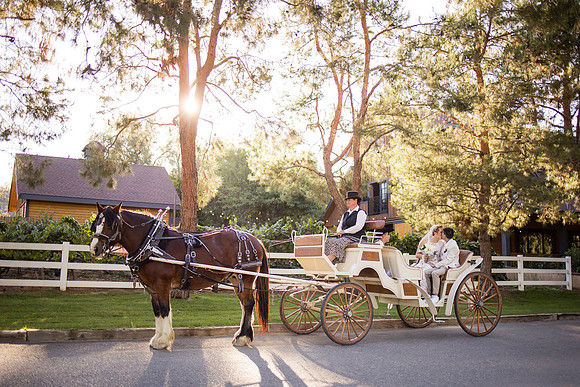 Orange County, Temecula Wedding Photographer at Longshadow Ranch Winery, Jessica & Dennis-183