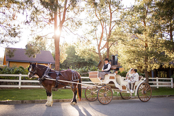 Orange County, Temecula Wedding Photographer at Longshadow Ranch Winery, Jessica & Dennis-185