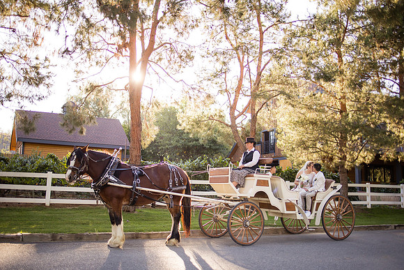 Orange County, Temecula Wedding Photographer at Longshadow Ranch Winery, Jessica & Dennis-184