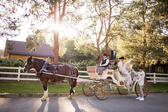 Orange County, Temecula Wedding Photographer at Longshadow Ranch Winery, Jessica & Dennis-188