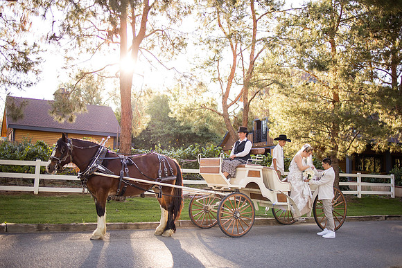 Orange County, Temecula Wedding Photographer at Longshadow Ranch Winery, Jessica & Dennis-189