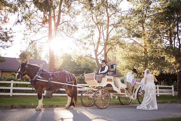 Orange County, Temecula Wedding Photographer at Longshadow Ranch Winery, Jessica & Dennis-190
