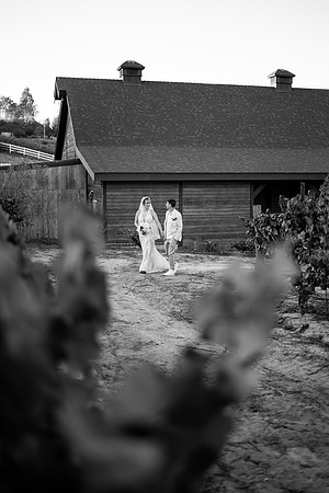 Orange County, Temecula Wedding Photographer at Longshadow Ranch Winery, Jessica & Dennis-369
