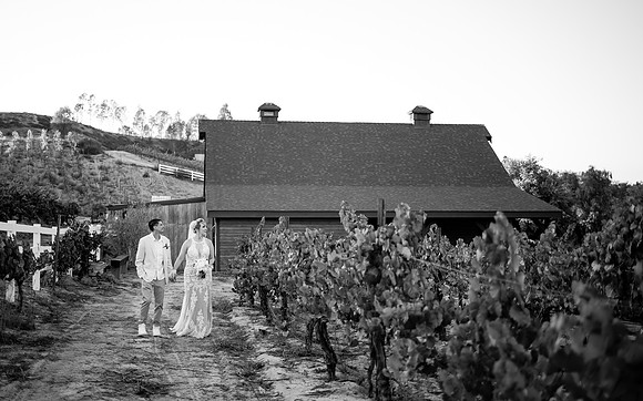 Orange County, Temecula Wedding Photographer at Longshadow Ranch Winery, Jessica & Dennis-387