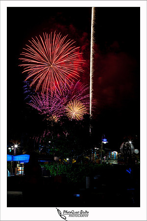 SeaWorld Trip by San Diego Wedding & Event Photographer