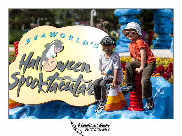 SeaWorld Trip by San Diego Wedding & Event Photographer