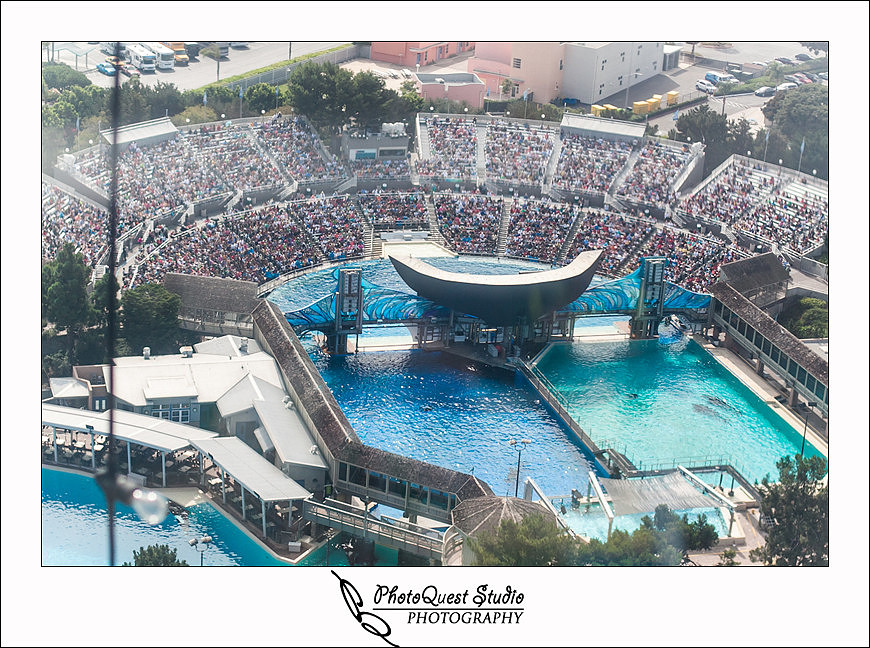 SeaWorld Trip photo by San Diego, Temecula, Menifee Wedding Photographer - Wedding Photography of PhotoQuest Studio -  