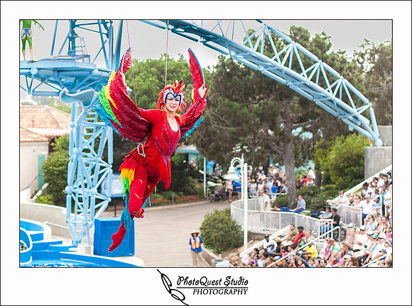 SeaWorld Trip by San Diego Wedding & Event Photographer