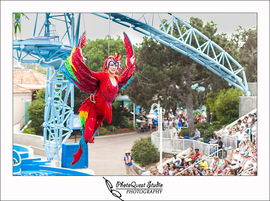 SeaWorld Trip photo by San Diego, Temecula, Menifee Wedding Photographer - Wedding Photography of PhotoQuest Studio -  
