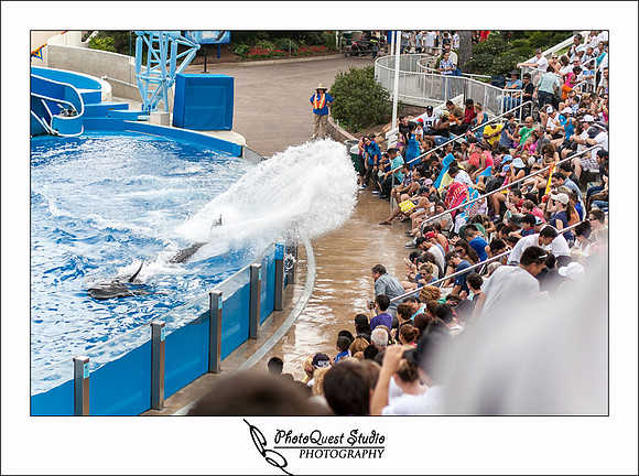 SeaWorld Trip by San Diego Wedding & Event Photographer