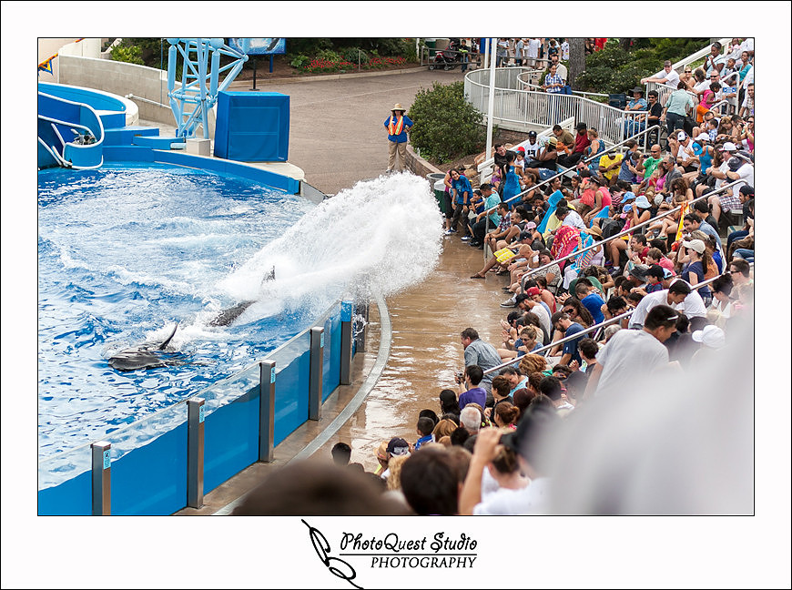 SeaWorld Trip photo by San Diego, Temecula, Menifee Wedding Photographer - Wedding Photography of PhotoQuest Studio -  Water, Wet, Fun