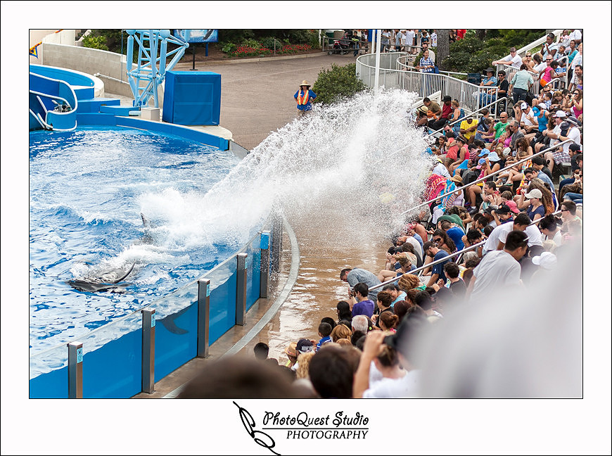 SeaWorld Trip photo by San Diego, Temecula, Menifee Wedding Photographer - Wedding Photography of PhotoQuest Studio -  People get wet at SeaWorld