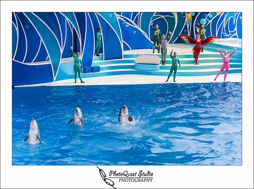 SeaWorld Trip photo by San Diego, Temecula, Menifee Wedding Photographer - Wedding Photography of PhotoQuest Studio -  Bye bye
