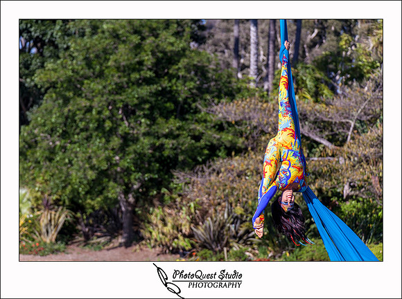 SeaWorld Trip by San Diego Wedding & Event Photographer