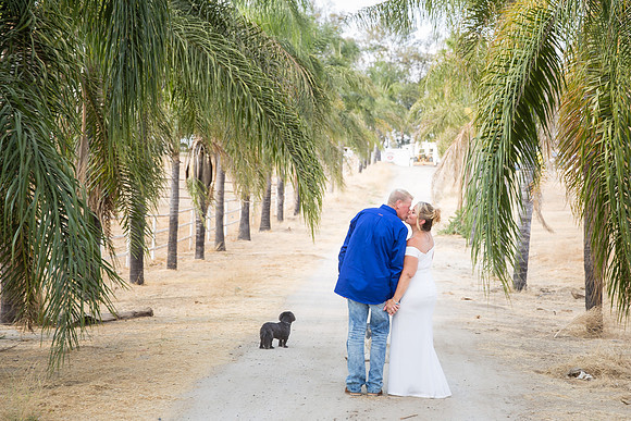 Micro Wedding by Wedding Photographer in Temecula, Rachel & Scott-171